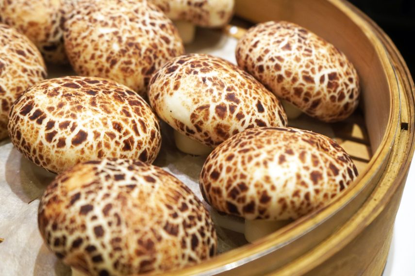 基隆中正｜天香私房菜｜親友聚餐好選擇，設有獨立包廂，料理手藝高超的中式合菜餐廳