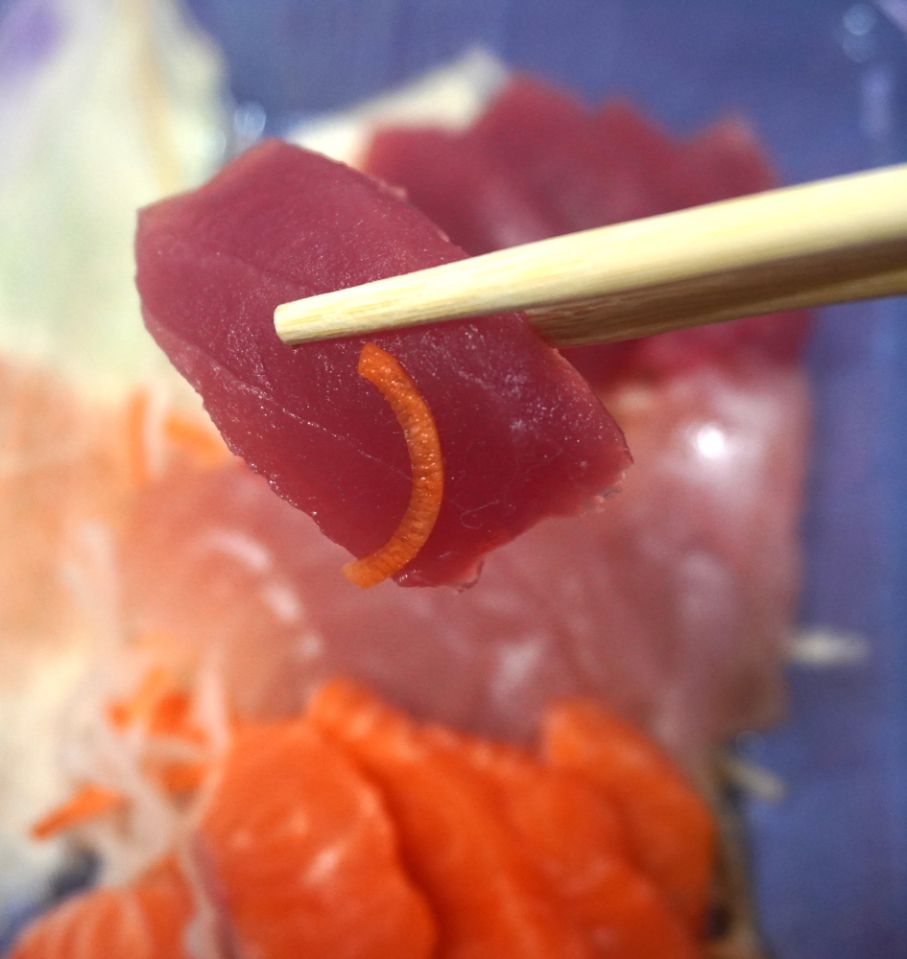 基隆仁愛|站前壽司|鄰近三坑車站的人氣日式料理店,炒飯推薦必點,口感實在料豐富 - 第16張圖 基隆仁愛|站前壽司|鄰近三坑車站的人氣日式料理店,炒飯推薦必點,口感實在料豐富