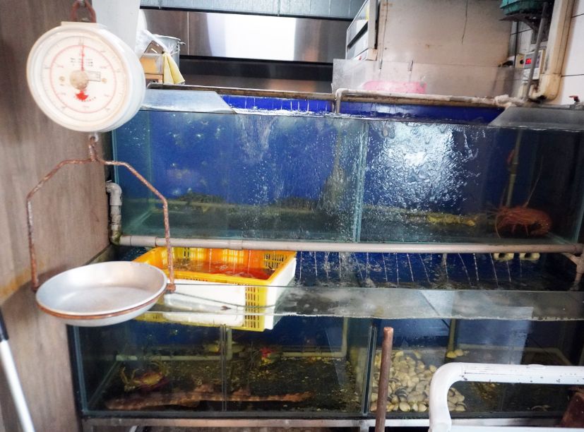 苗栗苑裡|討海人海鮮料理會館|海線聚餐推薦,漁夫料理有水準,價格很平價 - 第8張圖 苗栗苑裡|討海人海鮮料理會館|海線聚餐推薦,漁夫料理有水準,價格很平價