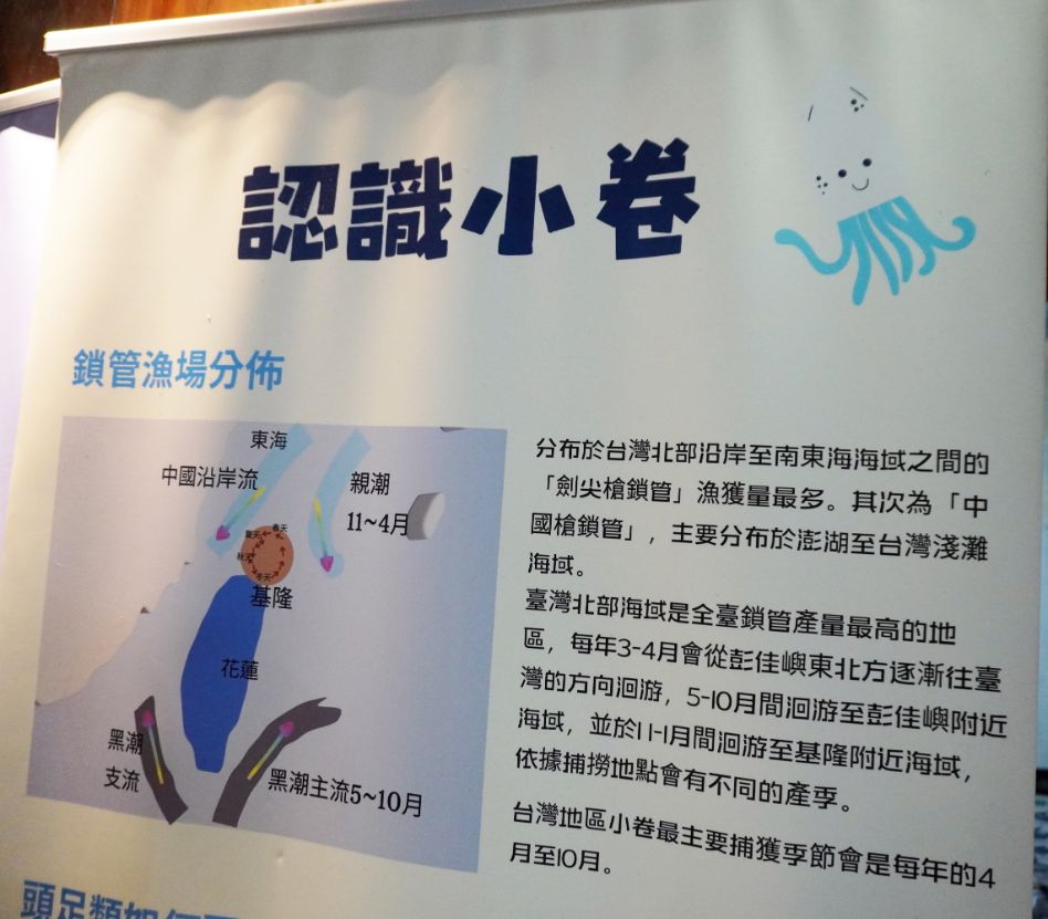 2026基隆活動｜八斗子漁村文化體驗工作坊｜從視覺跟味覺認識東北風26期雜誌，透過食魚教育深入認識小卷