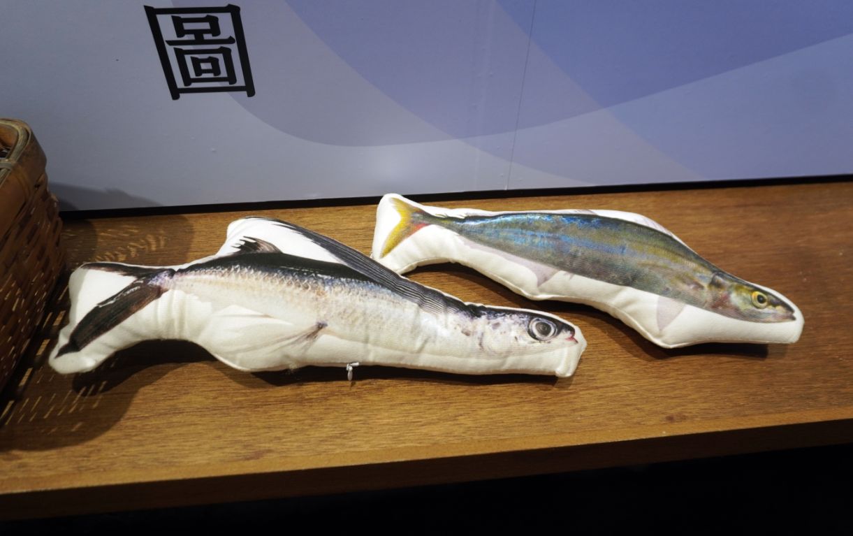 基隆中正|八斗子漁村文化館|大坪海岸順遊景點,八斗子漁村文物館轉型,豐富的漁業文物,值得走訪 - 第9張圖 基隆中正|八斗子漁村文化館|大坪海岸順遊景點,八斗子漁村文物館轉型,豐富的漁業文物,值得走訪