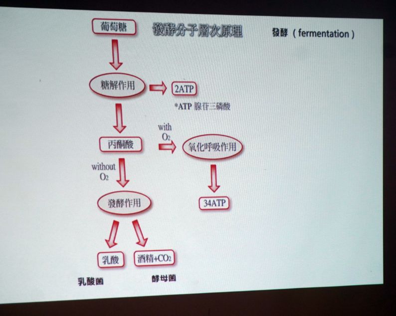 跟著椏楓走進原民生活｜2026流動部落技藝節｜實境解謎超好玩，逛市集學技藝，還有創意美食可以品嚐